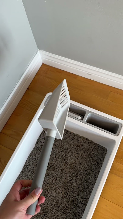 BEST litter box set up.