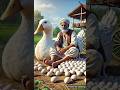 The farmer has a duck and the duck lays a lot of eggs 😭 #ai #duck #egg #farmer