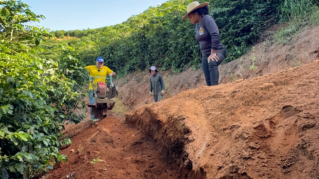 BURRINHO MECÂNICO FAZENDO UM TERRACIAMENTO DE RESPEITO 