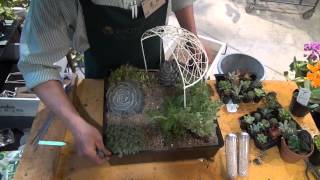 ひい様 仲良しトイプー箱庭風多肉植物寄せ植え 箱庭風多肉植物の寄せ植え - YouTube