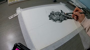 Drawing a snow leopard- Speed drawing by MagLM