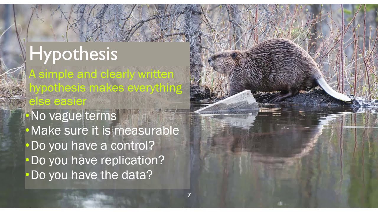 How to write a Lab Report - YouTube