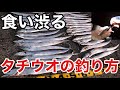 【タチウオ釣り】当たりはあるけど掛からない時の釣り方