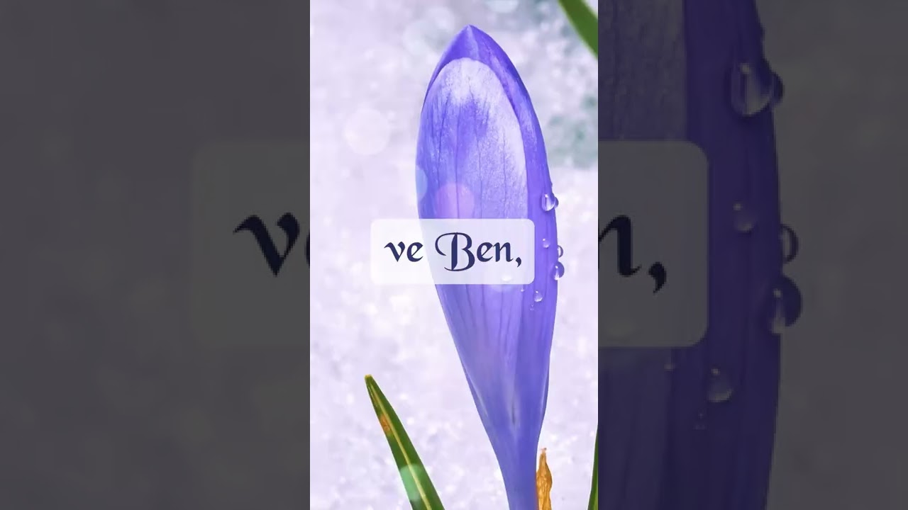 Cuma Duası🌹🕋🤲🏽Hayırlı Cumalar 🌹🕋🤲🏽Kısa Sözlü Resimli Cuma Dua Videosu