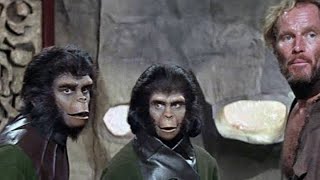 Dvdplaneta Dos Macacos