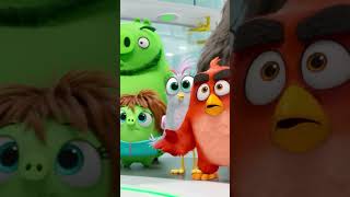 Red vs Pig Lab: TOTAL CHAOS! 🐦💢