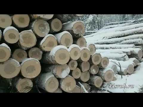 Video: Je melamin cenejši od lesa?