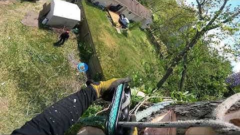 How to fix your SafeBloc (The Fast Way) #shorts