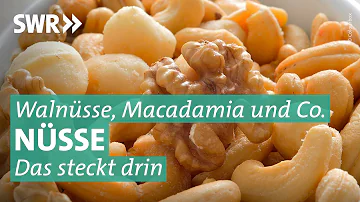 Welche Nüsse haben wenig Histamine?