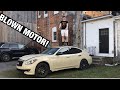 I Bought the Cheapest Infiniti M37x in the USA and It Blew Up!