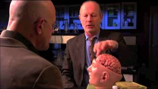 ELEVATE Module 1: INTRO Brain Response Video