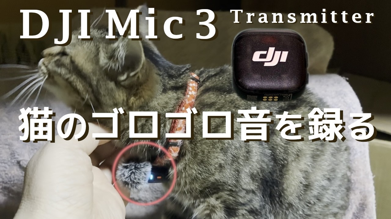 DJI Mic 3トランスミッター(単体)】を超小型マイク(レコーダー)として
