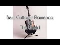 Best Flamenco Guitarist In The World