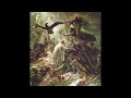[FREE] TRAP TYPE BEAT - "APOTHEOSIS" | FREESTYLE BEAT | HARD TYPE BEAT | FREE RAP INSTRUMENTAL 2026