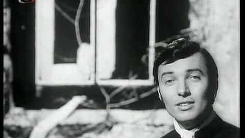 Kdy odlétají ptáci do teplých krajin?