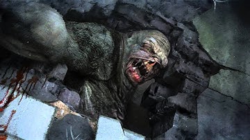 Metro 2033: The Librarian