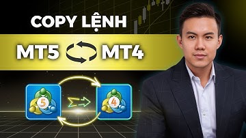 Hướng Dẫn Copy Lệnh Forex MT4 Sang MT5 Và MT5 sang MT4