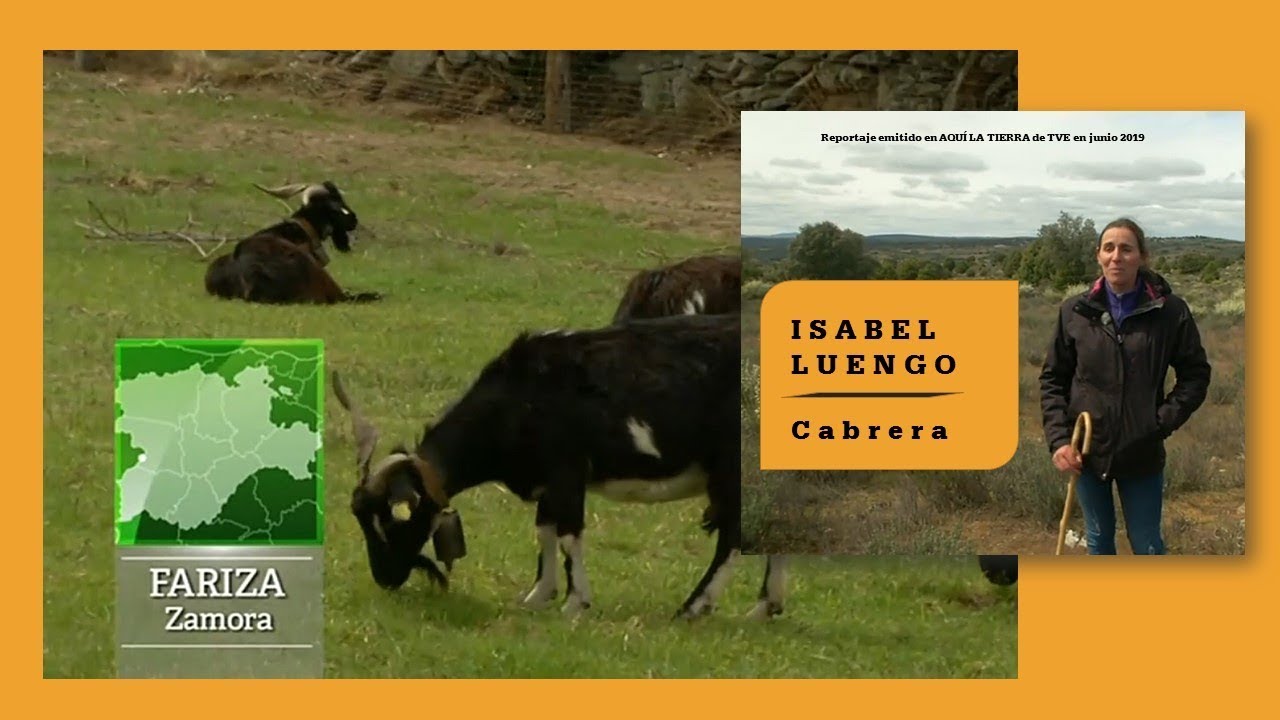 Fariza de Sayago (Zamora). Isabel Luengo y sus cabras todo terreno