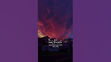 ما عندكم ينفد وما عند الله باق || القارئ عبد الرحمن مسعد