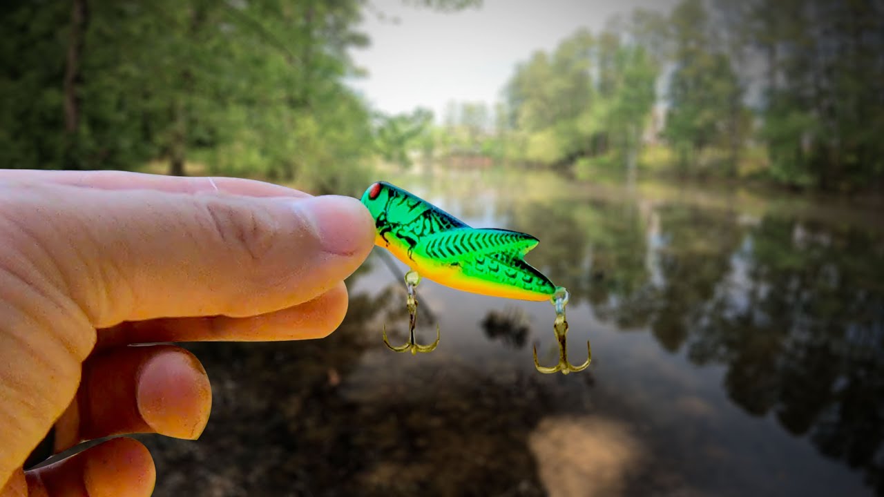 One of The BEST ULTRALIGHT FISHING Lures – The Rebel Crickhoppper