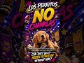 Los Perritos vs Heren Istarion Advertisement - Playoffs Winner's Bracket!