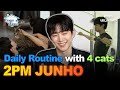 [Sub] 2PM Junho&rsquo;s Workout Routine with His 4 Lovely Cats😺💕 #2pm #junho #typhoonfamily