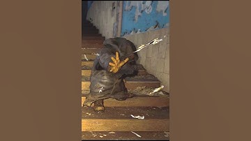 ☢️ STALKER 2 Burer and Anomalies #Shorts #Stalker2 #games #youtubeshorts #stalker