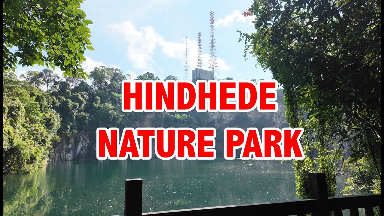 Hindhede Nature Park || Walking Singapore