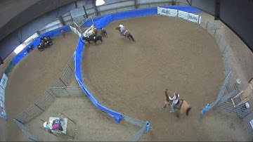 Big Sky Ranch Sorting Saddle Series #5 - #3 - Round #1 - Ride #18