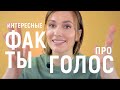 ТЫ ТОЧНО НЕ ЗНАЛ, ЧТО ГОЛОС... ИНТЕРЕСНЫЕ ФАКТЫ.