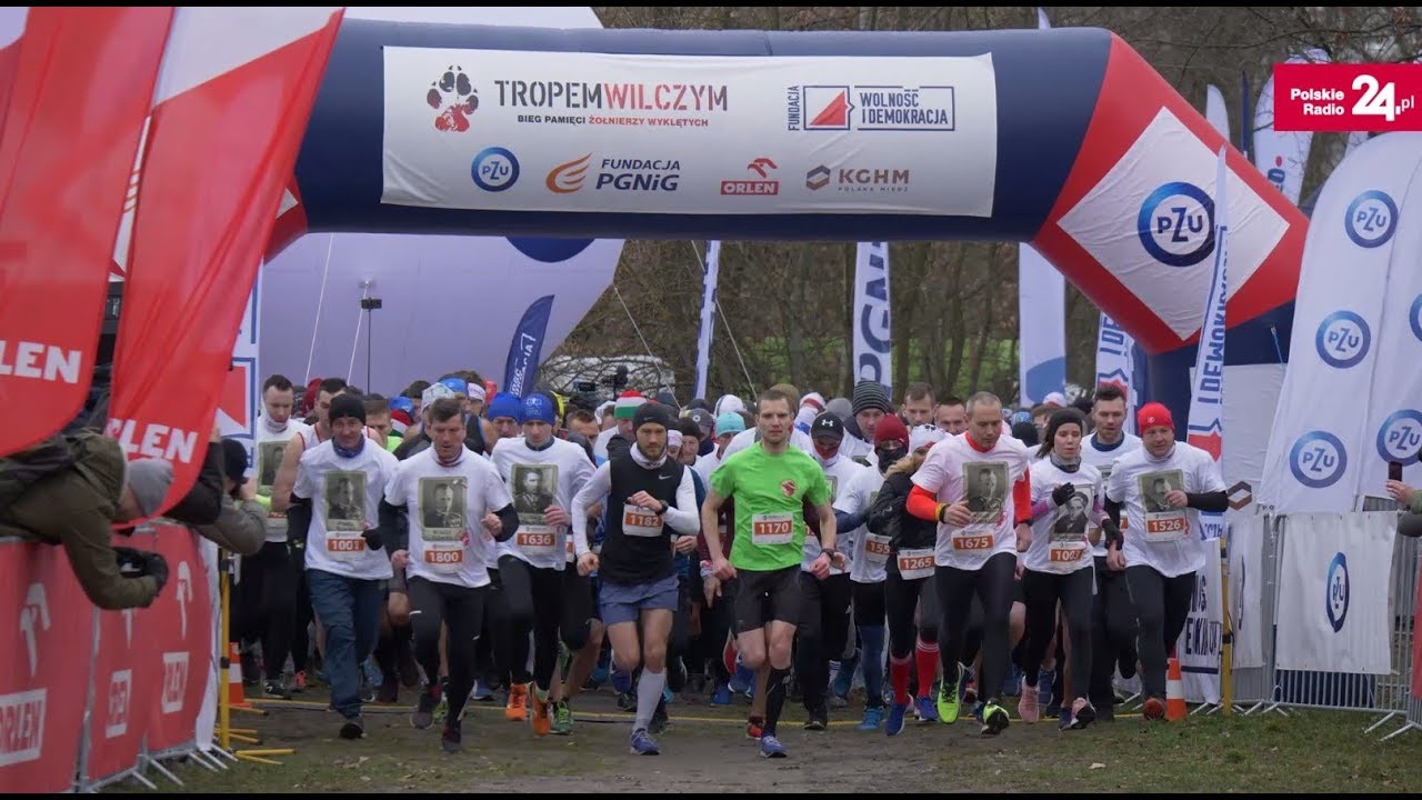 Uczcić bohaterów. „Tropem wilczym” - bieg pamięci Żołnierzy Wyklętych