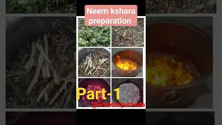 Neem Kshara Preparation.neem Se Kshara Kaise Banaye