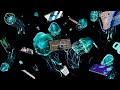 Need Show-Stealing Motion Graphics? Watch What Optious Did in 2025
