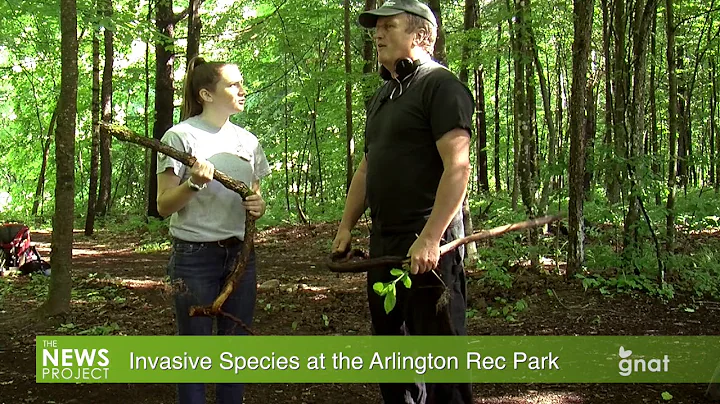 The News Project - Invasive Species at the Arlington Rec Park
