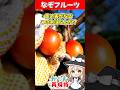 2年育てたトマトの木の実"タマリロ"を食べてみた!お味は? #fuits  #ゆっくり料理