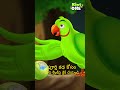 మిట్టు చిలుక స్నేహ కథ 🦜 | Telugu Moral Cartoon