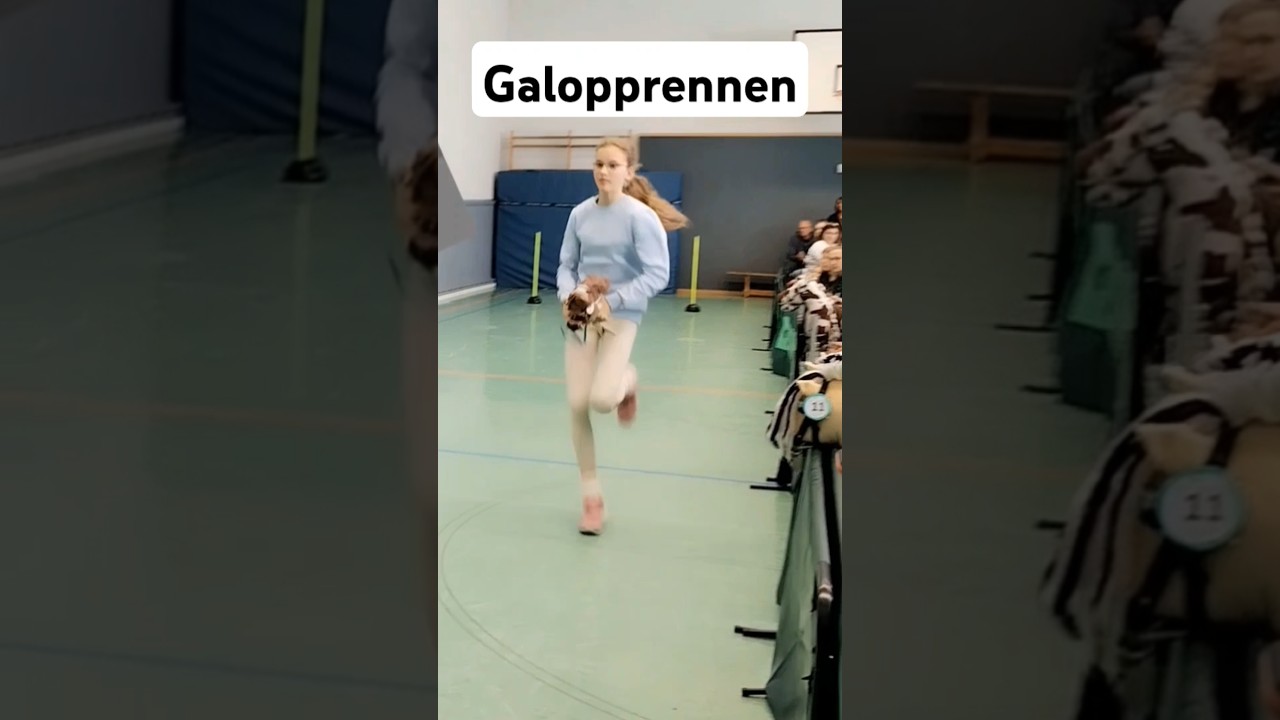 Hobby Horse Turnier Magni-Cup 2.0 