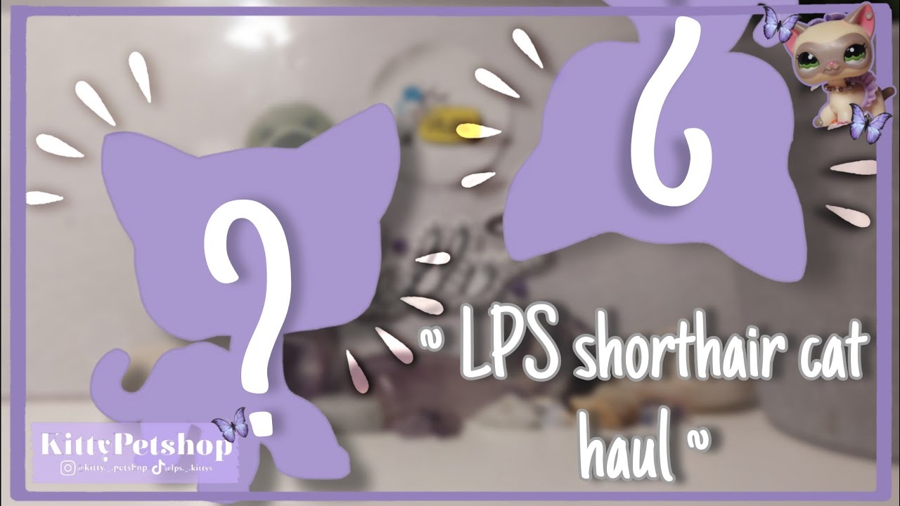 I MIGHT GO INSINE NOW! ~ LPS shorthair cat haul ☆