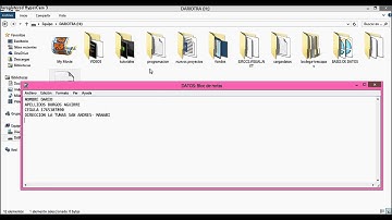 abrir archivo de texto .txt desde visual.net