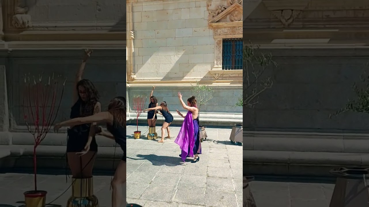 TAMARA PINA - ALCALA DE HENARES UNIVERSITY 