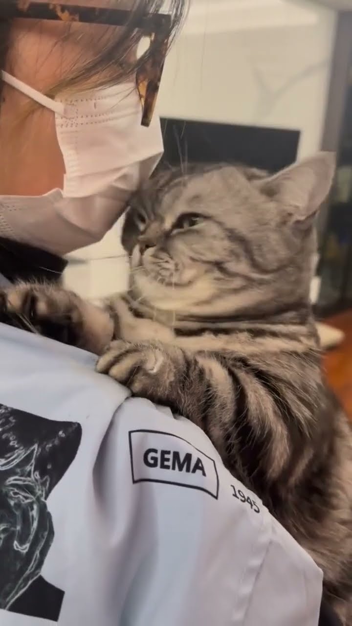 C'EST MAGNIFIQUE VIDÉO CHAT ? ? ? ?