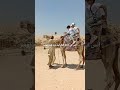 أنس ركب الجمل عند هرم زوسر قناة أنوس 