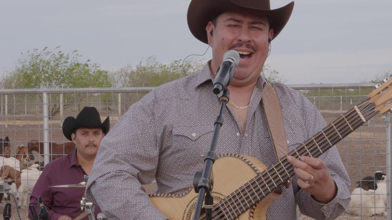 Dos De Oros Polkas Del Viejo