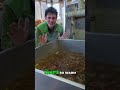 Mouthwatering Crawfish Boil Secret Spices & Aroma Revealed!