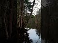 Озеро в Ленинградской области