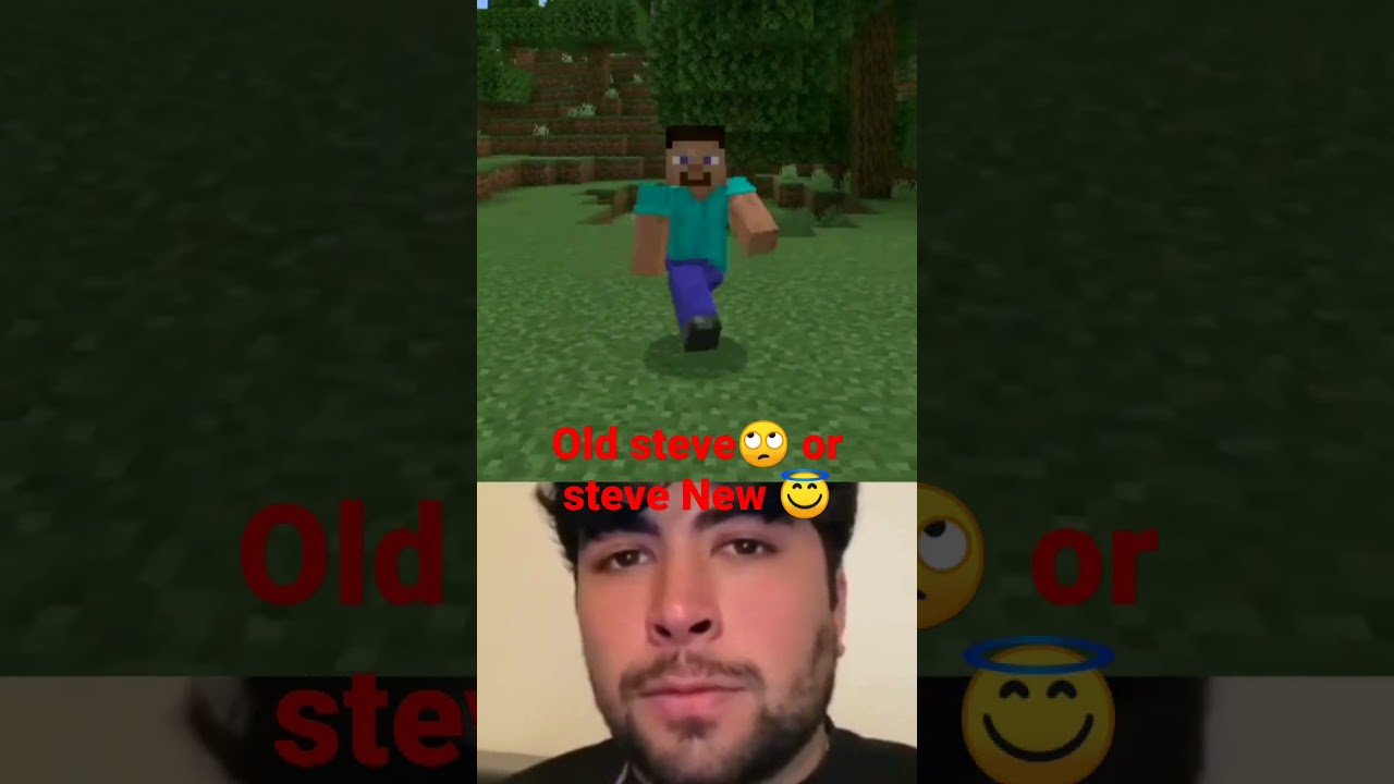 old steve VS New steve 🤩😎 