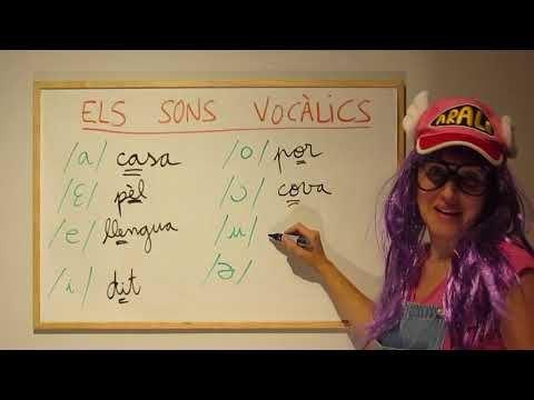 Vídeo: Quants sons consonàntics hi ha en castellà?