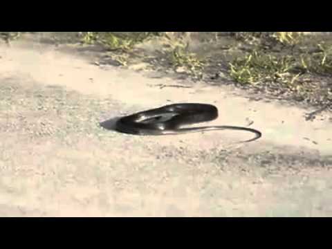Sneak in break dance