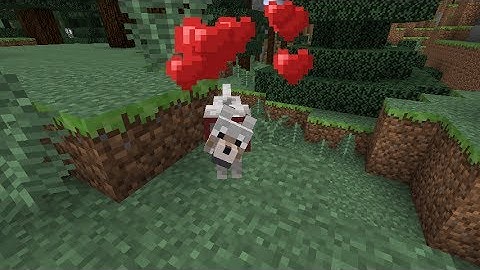 Minecraft - Back to Basics - Part 23