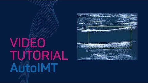 AutoIMT Video Tutorial #TTA2.30